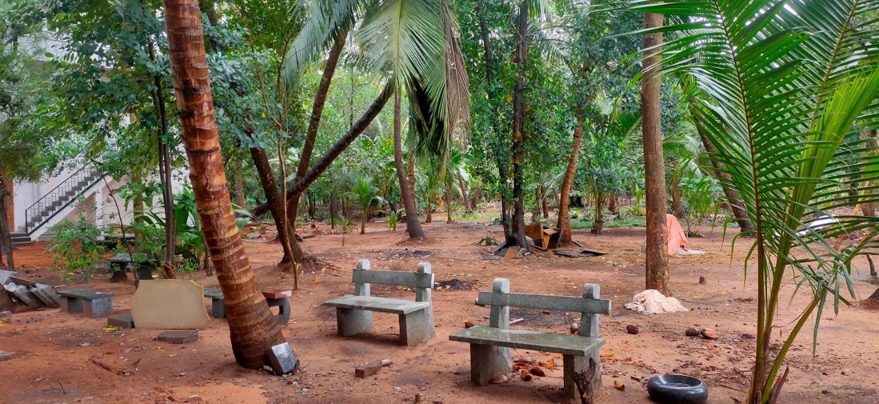 Evergreen Paradise Puducherry Værelse billede